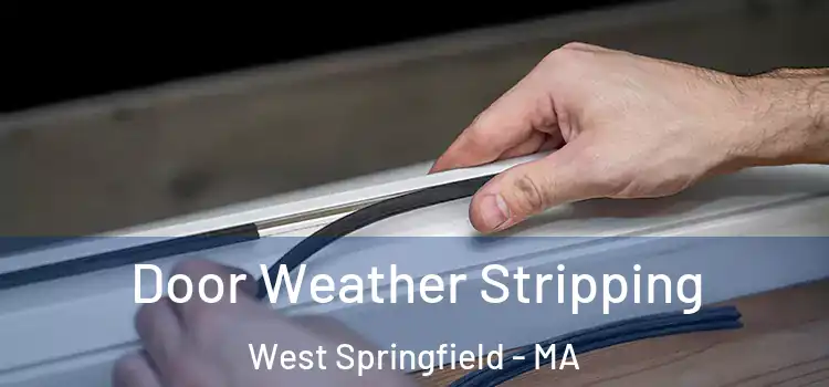  Door Weather Stripping West Springfield - MA