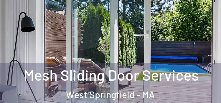  Mesh Sliding Door Services West Springfield - MA
